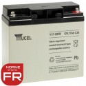 YUASA / YUCEL 12V - 17.0Ah - Y17-12FR - AGM