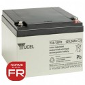 YUASA / YUCEL 12V - 24.0Ah - Y24-12FR - AGM