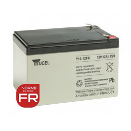 YUASA / YUCEL 12V - 12.0Ah - Y12-12FR - AGM